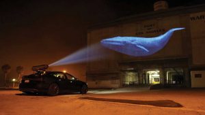 racingextinction_01_photo_credit_oceanic_preservation_society